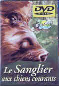 DVD Sanglier