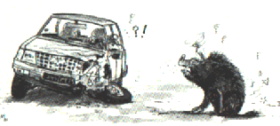 accidenthumour.gif (23410 octets)