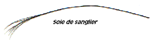 soie de sanglier